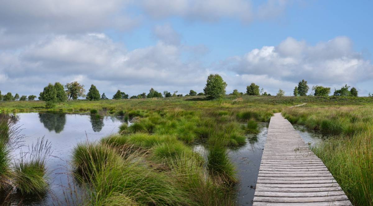 La nature à l’état pur -  Bütgenbacher Hof