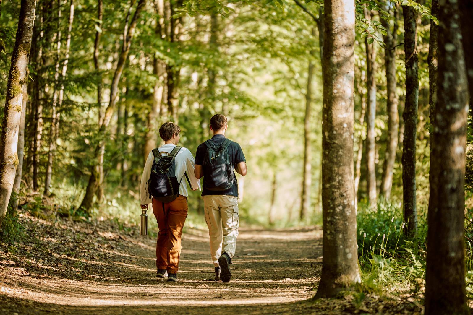 Personen beim Wandern im Wald