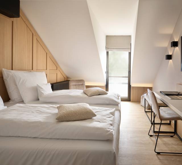 Room „Heimatgefühl“ with roof terrace