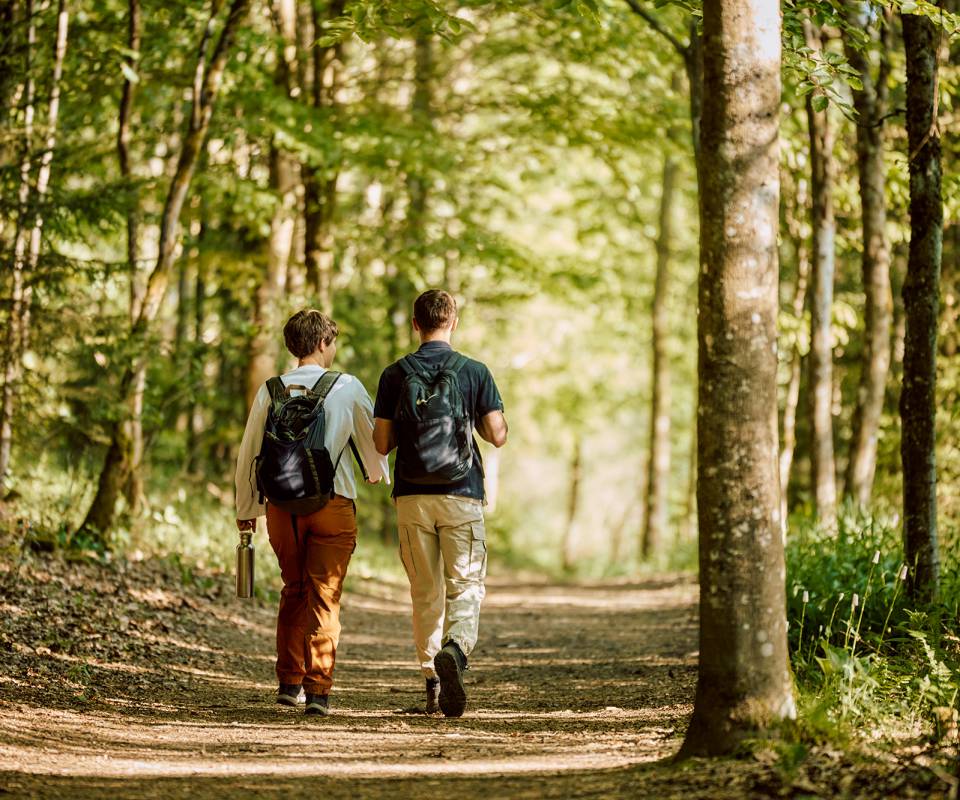 Personen beim Wandern im Wald