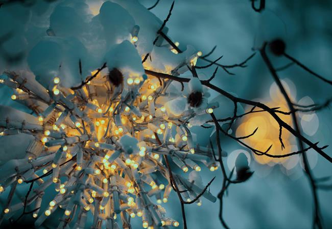 Christmas and New Year's Eve Arrangement 2023