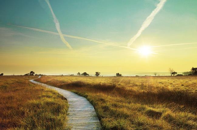 Biodiversiteit ondersteunen
